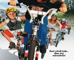 Отряд стремительных