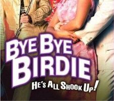 До свидания птичка