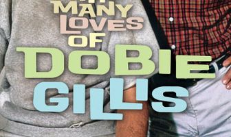 Успех Доби Гиллис