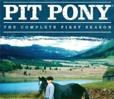 Pit Pony