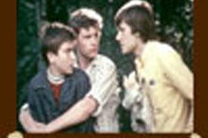 Ваши права?