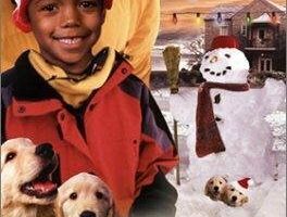 The Kudzu Christmas