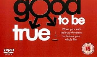 Too Good to Be True