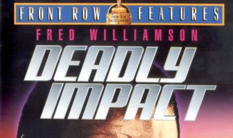 Смертельное столкновение