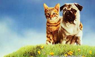 Приключения Майло и Отиса