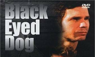 Black Eyed Dog