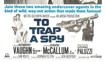 Поймать шпиона