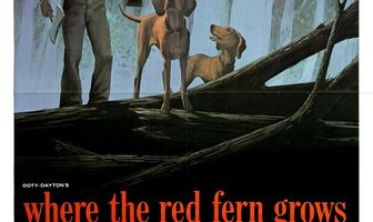 Цветок красного папоротника