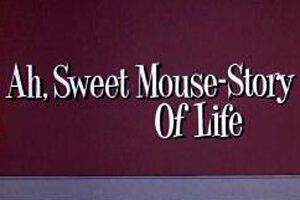 Умный маленький мышонок