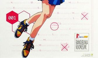 Универсальная современная девушка-кошка