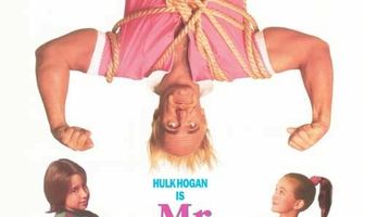 Мистер Няня