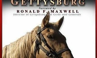 Horses of Gettysburg