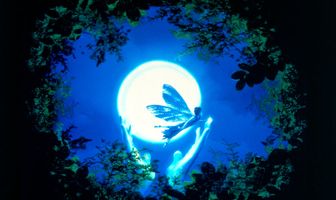 Волшебная история