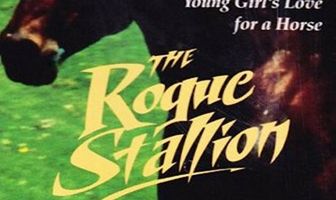 The Rogue Stallion