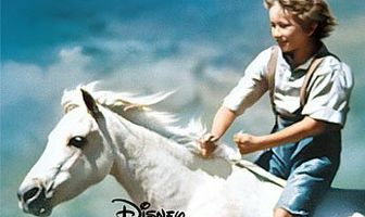 Прокатись на диком пони