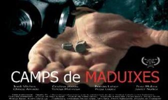 Земляничные поля