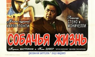 Собачья жизнь