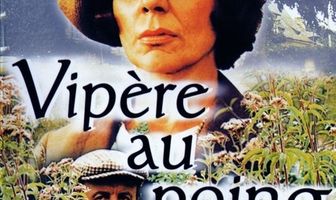 Гадюка в кулаке