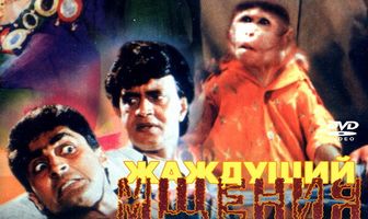 Жаждущий мщения