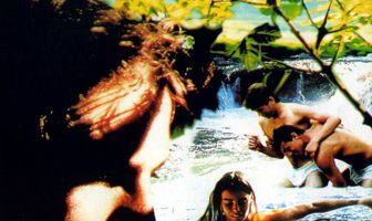 Дикий тростник