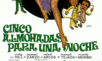 Пять подушек на одну ночь