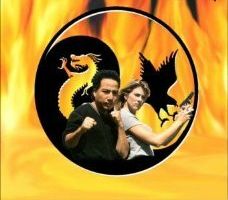 Дракон и ястреб