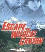 Побег из Уайлдкэт-Каньон