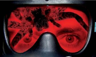 Twilight of the Dogs