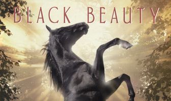 Черный красавец