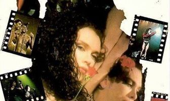 Dead or Alive: Rip It Up Live