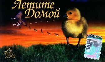 Летите домой