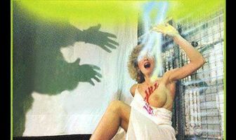 Frankenstein: Une histoire d'amour