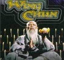 Потомки стиля Винг Чун