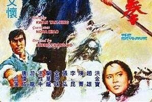 Небесный ястреб