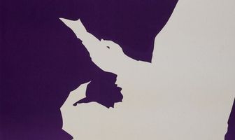 Цветы лиловые полей