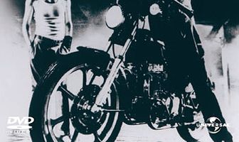 Бойцовая рыбка