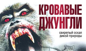 Кровавые джунгли