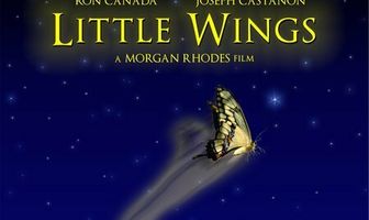 Маленькие крылья