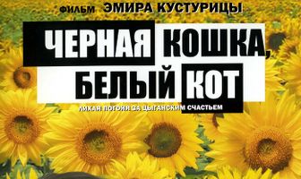 Черная кошка, белый кот