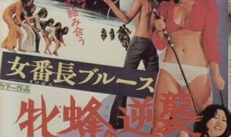 Девушка-босс: Контратака королевы пчёл