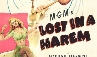 Потерянные в гареме