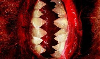 Red Scream Vampyres