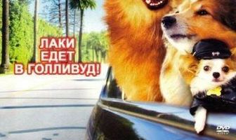 Доктор Дулиттл 5