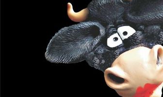 А что вы знаете о молоке?