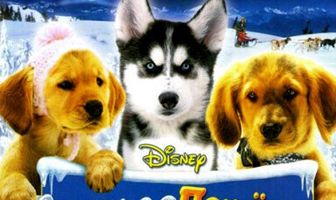 Снежная пятерка