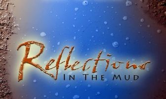 Reflections in the Mud