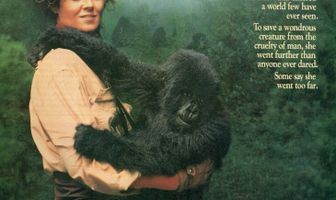 Гориллы в тумане