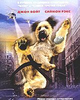 Пес – каратист