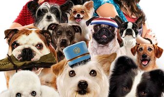 Отель для собак