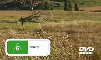 Что-то в воздухе